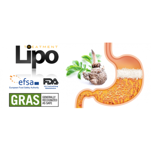 Lipo tretma 1 kos (neinvazivna liposukcija)