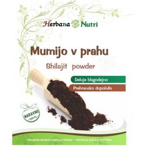 Mumie ali Shilajit v prahu Premium 60g