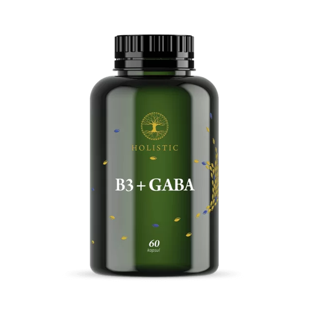 Vitamin B3 + GABA Holistic 60 kapsul