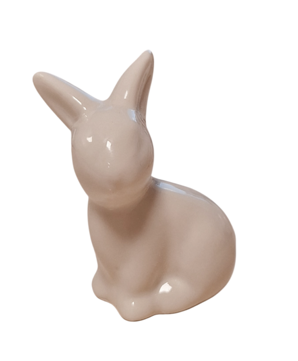 Bioenergijski zajček mali 1 kos