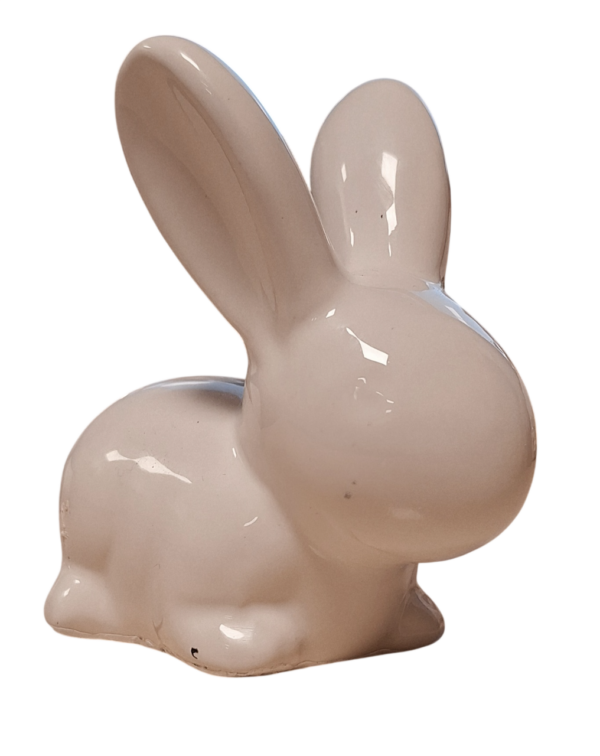 Bioenergijski zajček velik 1 kos